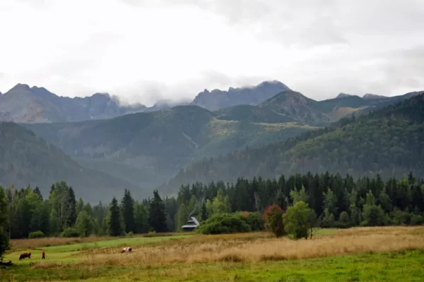 View of the High Tatras and Gąsienicowa Valley – October